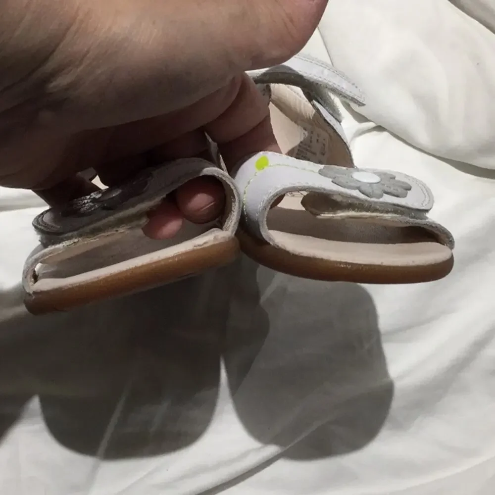 Clarks clark’s all
